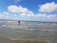 Büsum, Wattwanderung mit Bodo