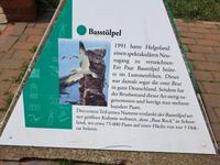 Helgoland