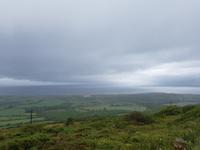 Dingle
