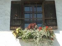 Sausaler Weinstraße