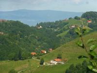 Sausaler Weinstraße