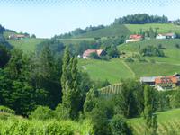 Südsteirische Weinstrasse