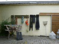 Oostende, Austernzucht