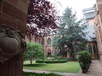 Mainzer Dom - Innenhof