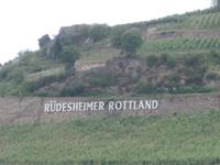 Weinberge Rüdesheim