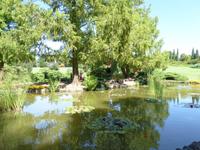 101.07.2017 Parco Sigurta