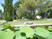 01.07.2017 Parco Sigurta