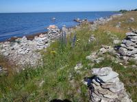Insel Saaremaa