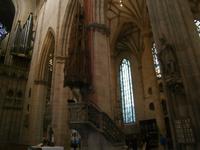 Ulm, Münster das geschnitzte Dach über der Kanzel