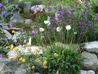 Im Botanischen Garten der Schatzalp