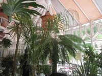 El Capricho de Gaudi (21)