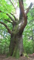 E-Bike Reise polnische Ostsee Eberhardt TRAVEL