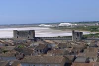 Aigues Mortes, Salinen