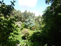 043-Glenveagh