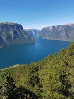 064_Stegastein