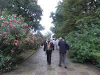 auf der Promenade in Sochi