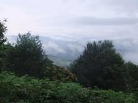 Blick von einer Teeplanage bei Sochi