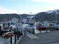 042 Honningsvar - Hafen