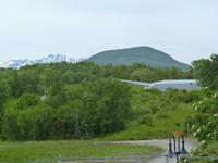 087 Harstad - Adolfkanone 2