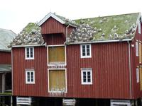 114 Rørvik - Möwenhaus am Hafen