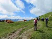 Wanderung zur Hochsonnbergalm