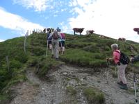 Letzte Meter zur Schwalbenwand