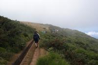 Wanderung an der Levada do Paul (ca. 1.400 m ü.M.)