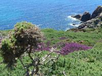 Küstenwanderung nach Land's End