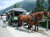 In Pontresina warten die Pferdekutschen auf uns