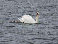 Bootsfahrt Helsinki alle noch da
