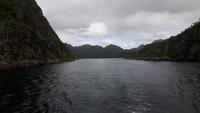 Seeadler-Safari von Hanøy nach Svolvaer (Trollfjord)