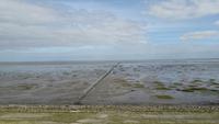 Ebbe