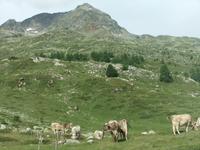 Immer wieder bieten sich schöne Ausblicke