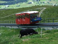 Die Zahnradbahn bringt uns wieder hinunter
