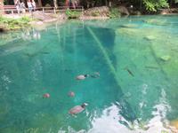 Ausflug zum Blausee