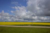 Unendliche Weite in Manitoba