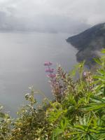 Storfjord