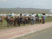 Nadamfest - Pferderennen