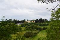 Blick nach Newgrange