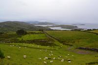 Wanderung bei Caherdaniel, Ring of Kerry