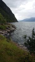 Hardangerfjord