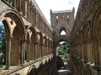 Jedburgh Abby