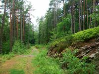 Auf dem Pyramidenkogel