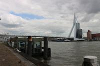 Blick auf die Erasmusbrücke in Rotterdam