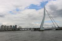 Blick auf die Erasmusbrücke in Rotterdam