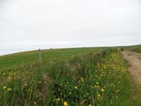 Kreuzfahrt mit AIDAsol Skandinavien – Orkney Inseln