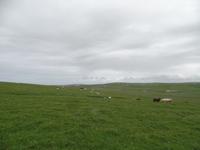 Kreuzfahrt mit AIDAsol Skandinavien – Orkney Inseln