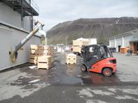 Kreuzfahrt mit AIDAsol Skandinavien – Island, Isafjördur, Westfjorde