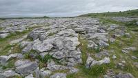 Steinige Burren-Landschaft