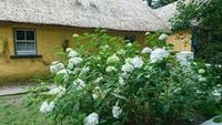 Im Bunratty Folk Park